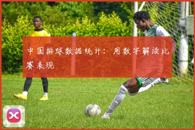 中国排球数据统计：用数字解读比赛表现