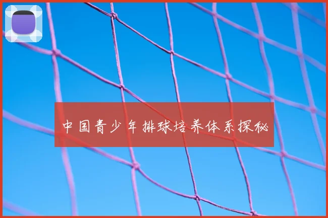 中国青少年排球培养体系探秘